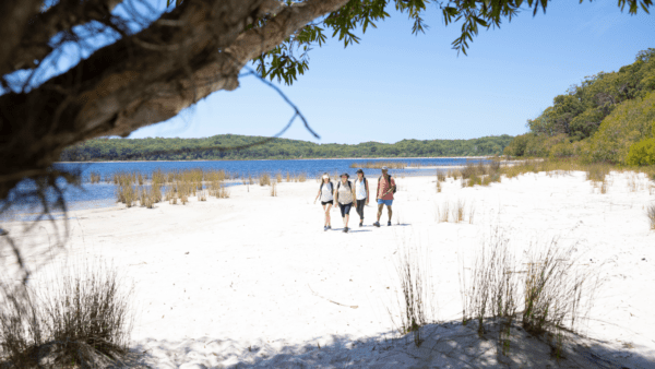 How To Get To K'gari Fraser Island From Rainbow Beach And Hervey Bay